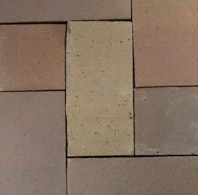 Chestnut - Smooth