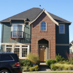 Forest Blend Full-Size Brick - Image 2