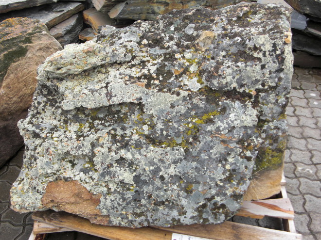 Montana Mossy Boulder