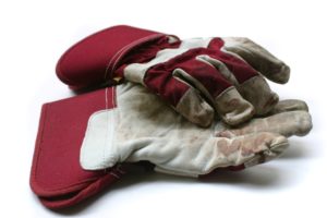 Used gardening / work gloves - Isolated image on white