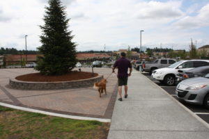Town Center Park in Federal Way