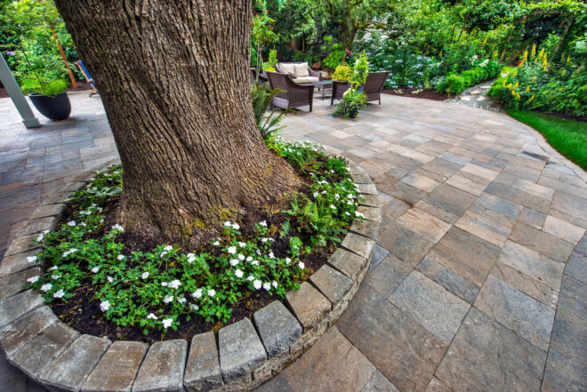 Columbia Slate patio with RomanStack tree ring