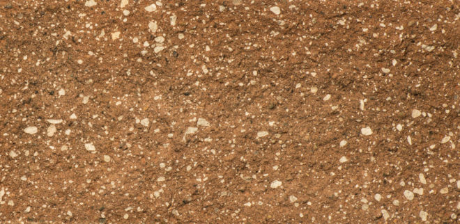 Cocoa