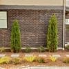 Coffee House Craftsman Slimbrick - Image 5