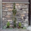 Cultured Stone Cobblefield - Image 2