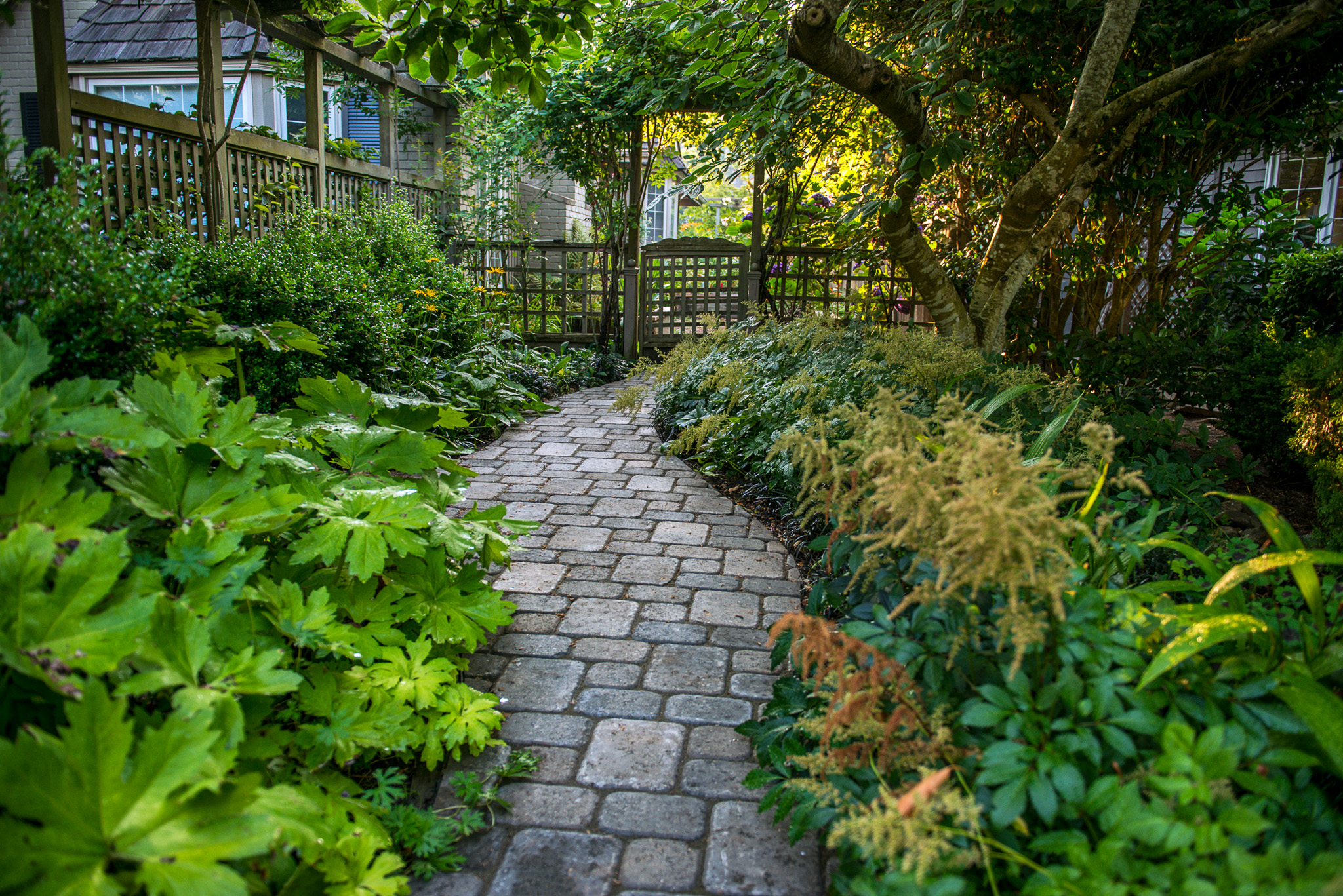 Dominion paver walkway through a garden