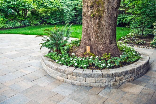 StackStone tree ring atop a concrete paver patio