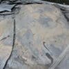 SUI Black Slate Flagstone 1" - Image 8