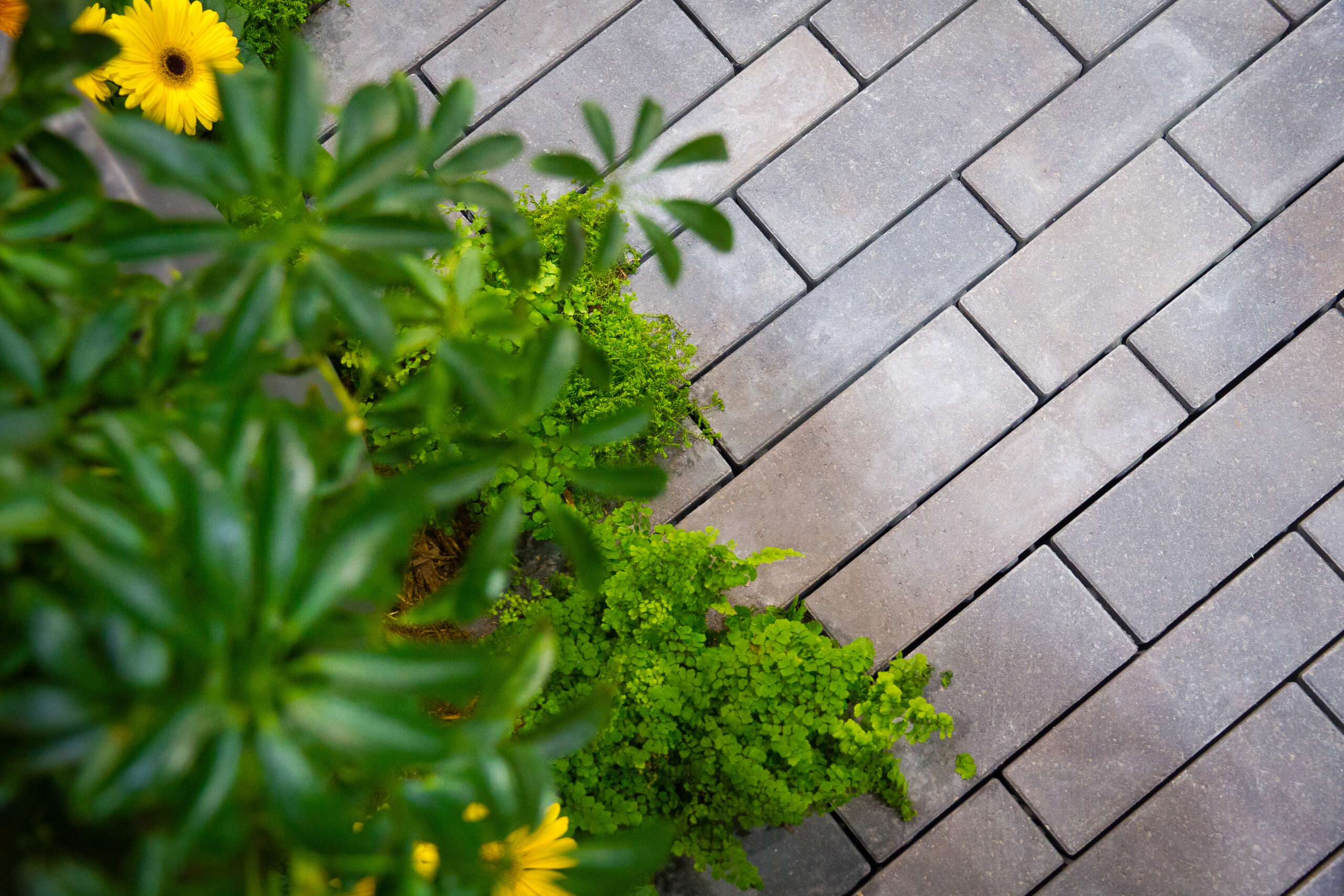 Barkman Boardwalk 80 mm Permeable Paver - Image 4